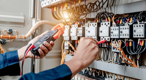 Best Electric Panel Repair  in Rden City, GA